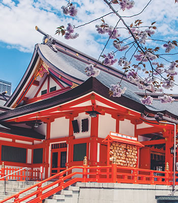 日本专线