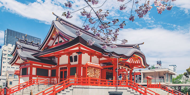 日本专线